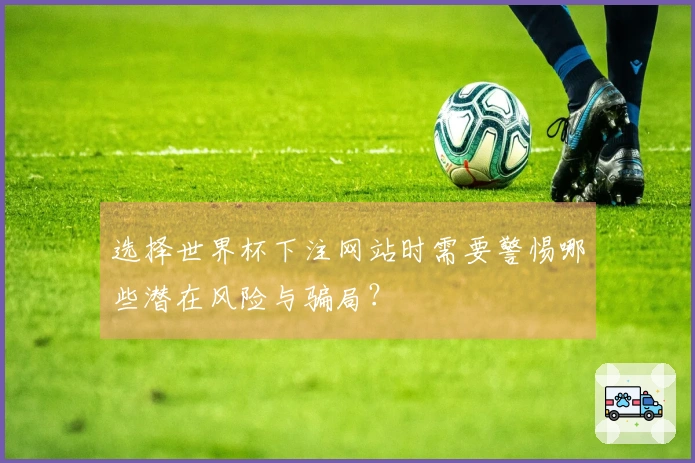 选择世界杯下注网站时需要警惕哪些潜在风险与骗局？