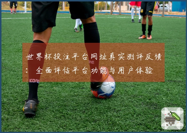世界杯投注平台网址真实测评反馈：全面评估平台功能与用户体验