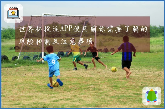 世界杯投注APP使用前你需要了解的风险控制及注意事项