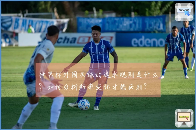 世界杯外围买球的返水规则是什么？如何分析赔率变化才能获利？