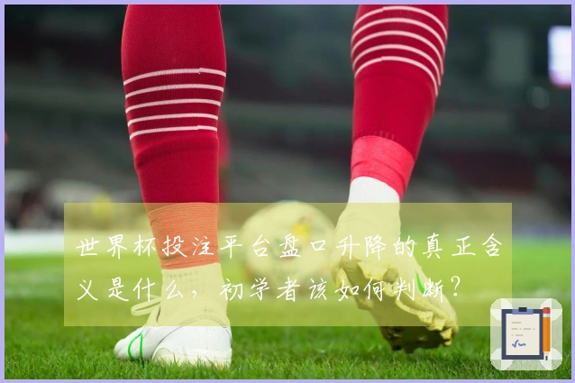 世界杯投注平台盘口升降的真正含义是什么，初学者该如何判断？