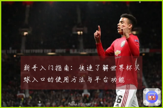 新手入门指南：快速了解世界杯买球入口的使用方法与平台功能