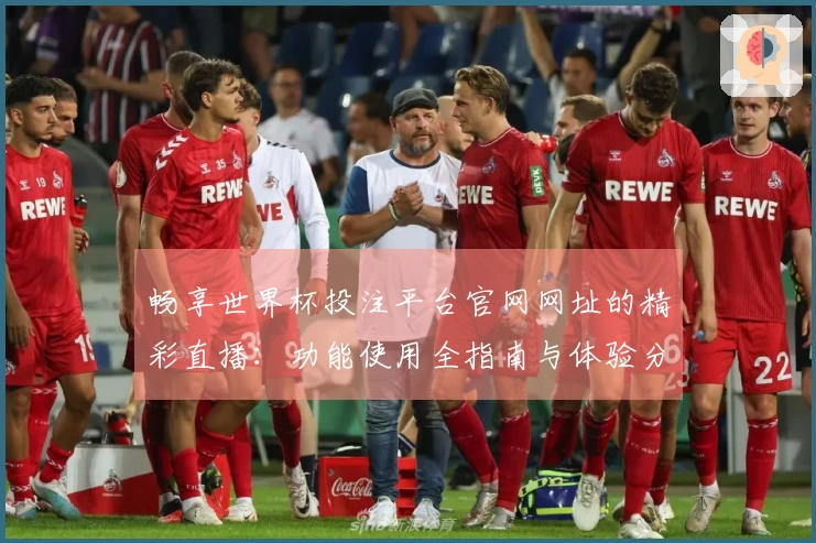 畅享世界杯投注平台官网网址的精彩直播:功能使用全指南与体验分享