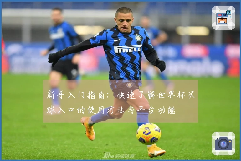 新手入门指南：快速了解世界杯买球入口的使用方法与平台功能