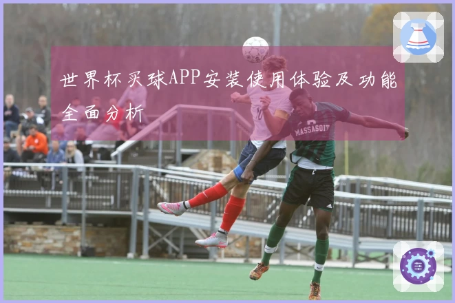 世界杯买球APP安装使用体验及功能全面分析