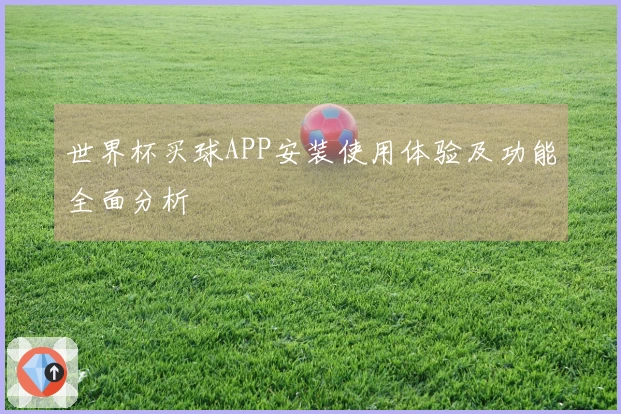 世界杯买球APP安装使用体验及功能全面分析