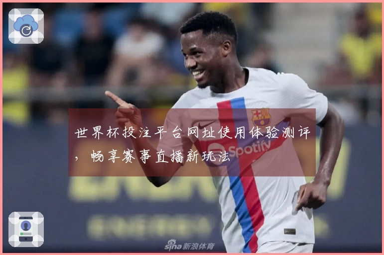 世界杯投注平台网址使用体验测评，畅享赛事直播新玩法