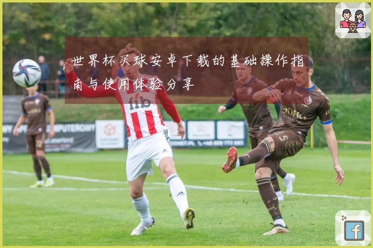 世界杯买球安卓下载的基础操作指南与使用体验分享