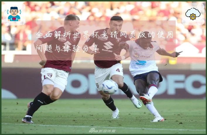 全面解析世界杯竞猜网页版的使用问题与体验分享