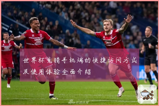 世界杯竞猜手机端的快捷访问方式及使用体验全面介绍