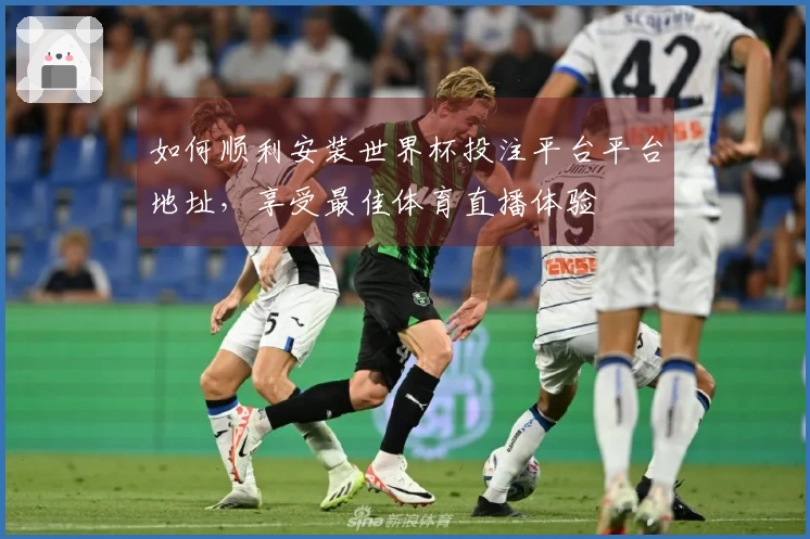 如何顺利安装世界杯投注平台平台地址，享受最佳体育直播体验